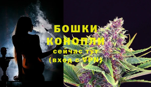 соль ск Балабаново